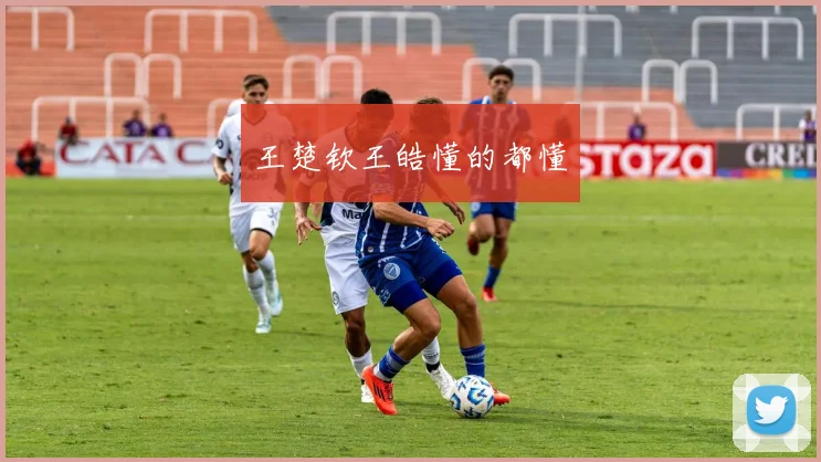 王楚钦王皓懂的都懂