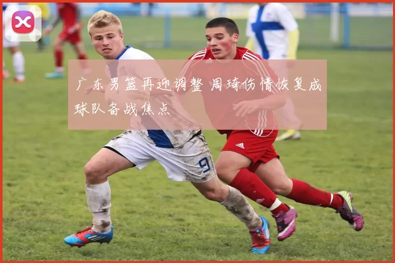 广东男篮再迎调整 周琦伤情恢复成球队备战焦点