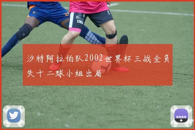 沙特阿拉伯队2002世界杯三战全负失十二球小组出局