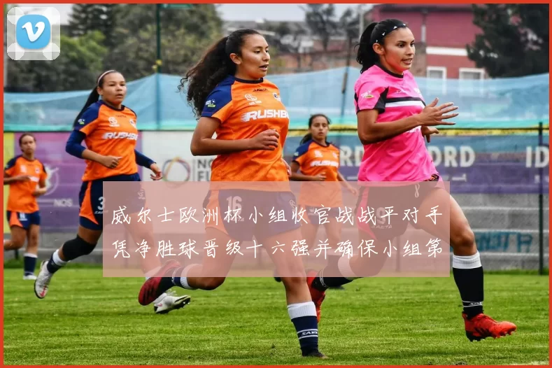 威尔士欧洲杯小组收官战战平对手凭净胜球晋级十六强并确保小组第二